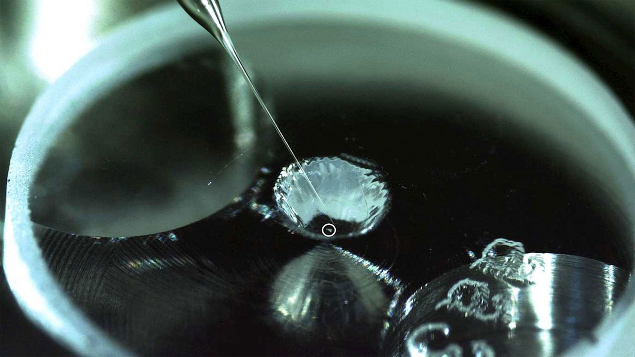 Organic material necessary to support life entirely on an asteroid’s surface